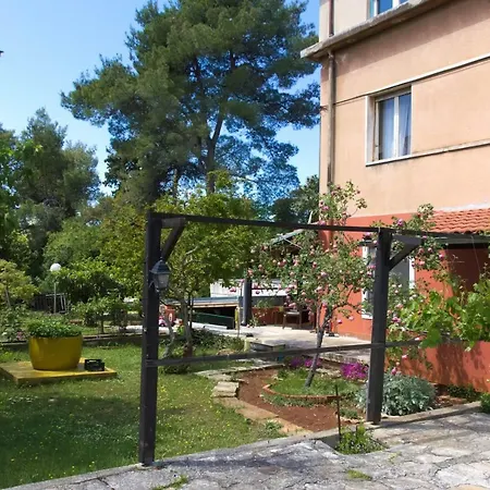 Cvita Zadar